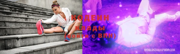 шишки Дмитриев