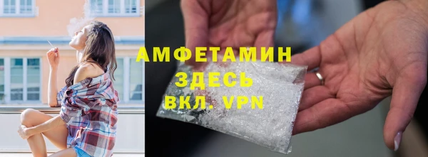 шишки Дмитриев