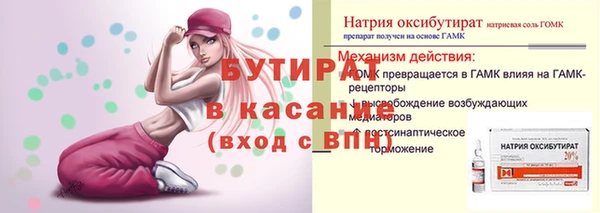 шишки Дмитриев