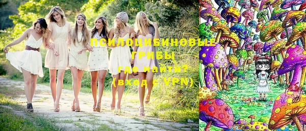 шишки Дмитриев