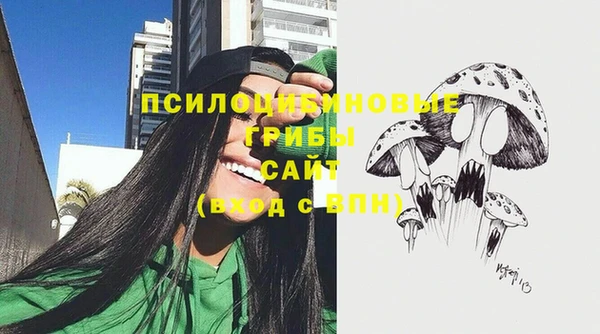 метадон Гусь-Хрустальный