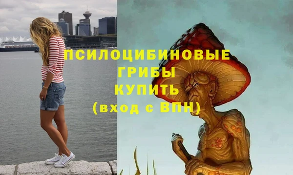 шишки Дмитриев