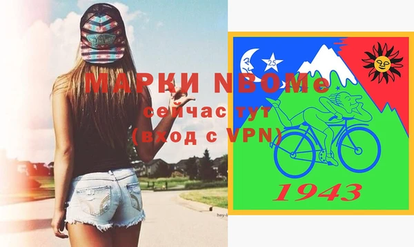 шишки Дмитриев